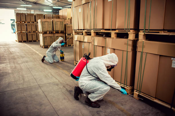 Best Flea Control Services  in Guttenberg, IA