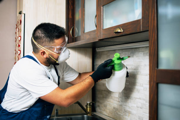Best Affordable Pest Control Services  in Guttenberg, IA