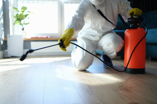 Professional Pest Control in Guttenberg, IA