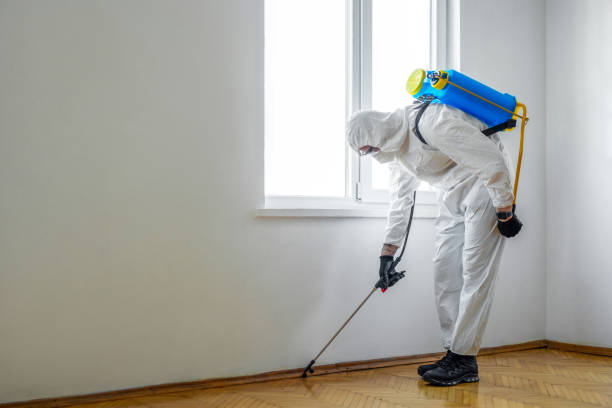 Best Pest Removal Services  in Guttenberg, IA