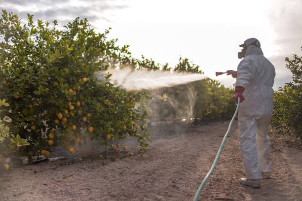 Best Wildlife Control Services  in Guttenberg, IA