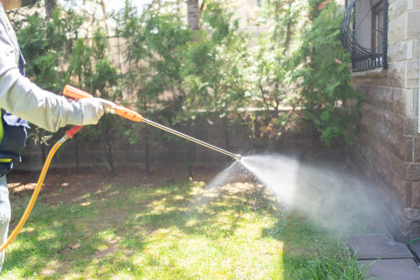 Best Ant Control Services  in Guttenberg, IA