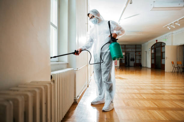 Best Best Pest Control Companies  in Guttenberg, IA