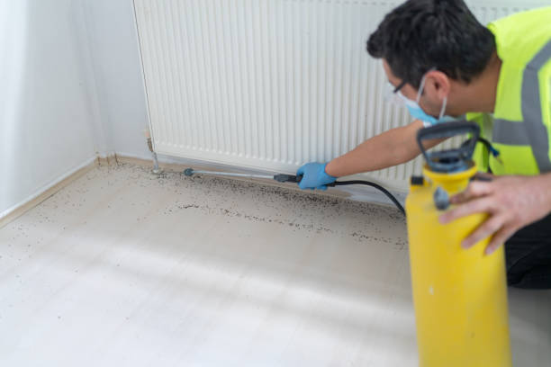 Best Exterminator Services  in Guttenberg, IA