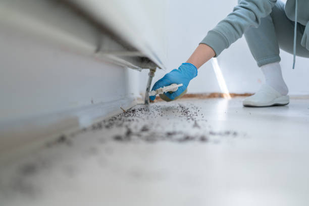 Best Pest Prevention Services  in Guttenberg, IA