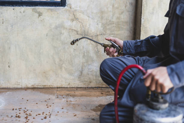 Best Affordable Exterminators  in Guttenberg, IA