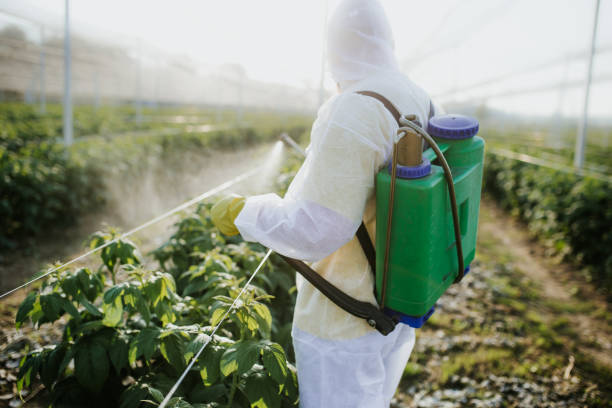 Best Residential Pest Control  in Guttenberg, IA
